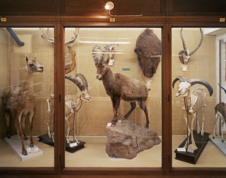 Museum, 2014
